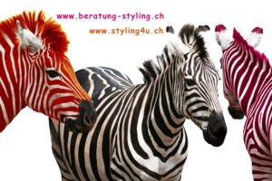 Logo_SSL_Retusche_Websites_