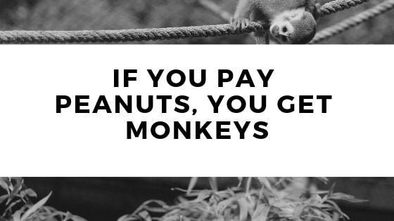 if you pay peanuts you get monkeys